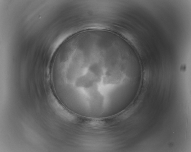 X0000112971466200909031034