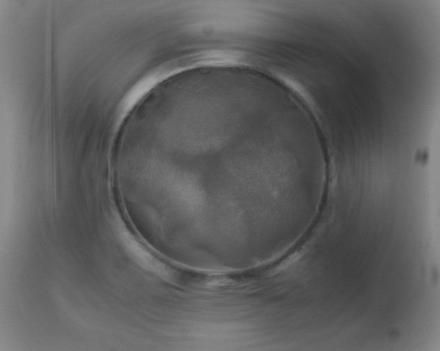 X0000112971467200909031034