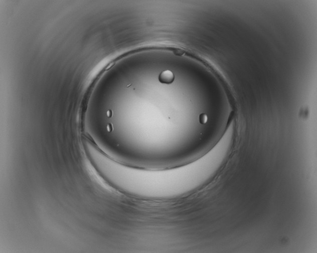 X0000112971468200909031034