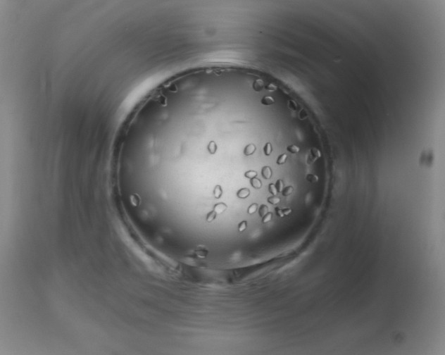 X0000112971469200909031034