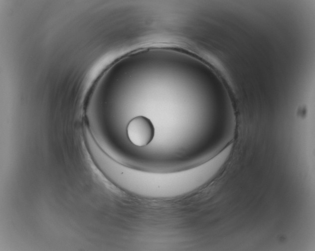 X0000112971472200909031034