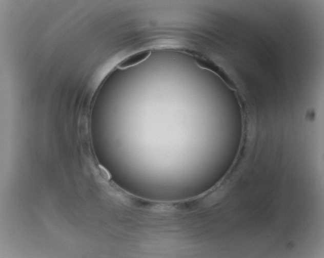 X0000112971473200909031034