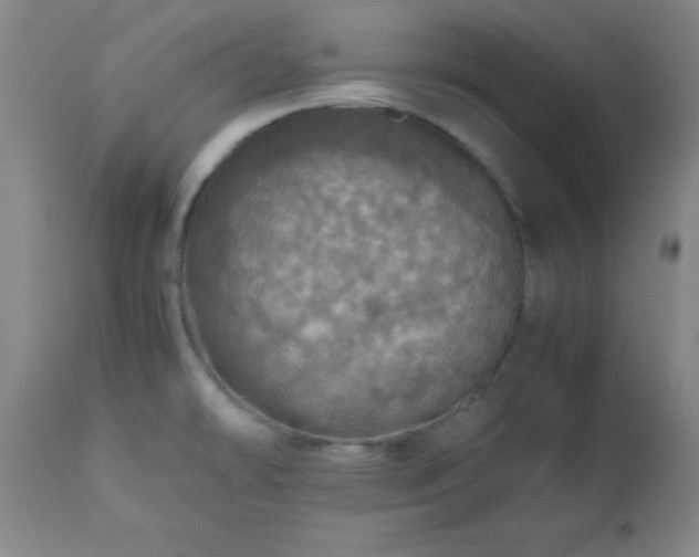 X0000112971478200909031034