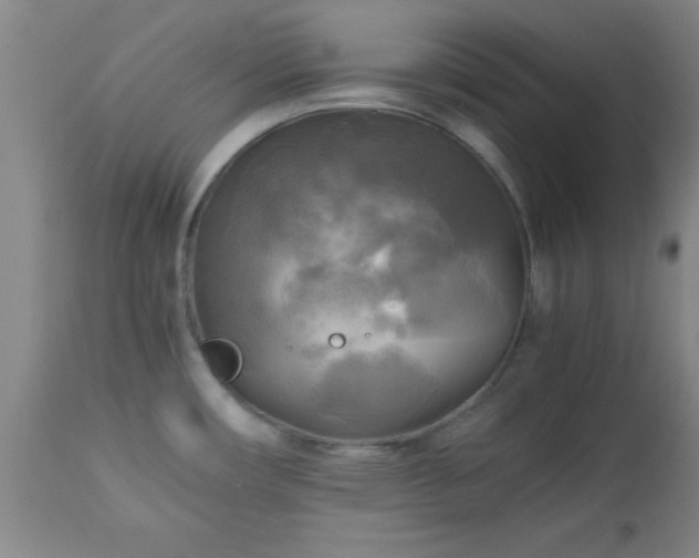 X0000112971482200909031034