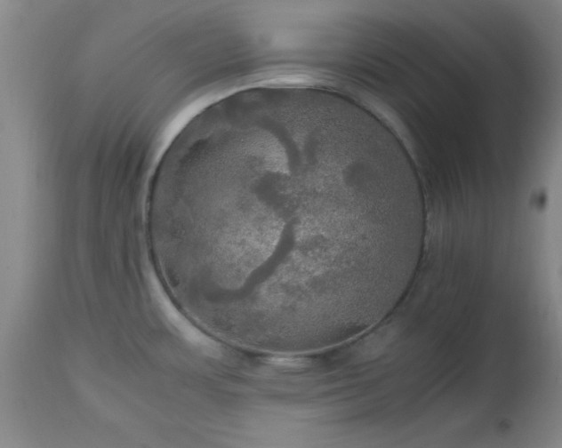 X0000112971483200909031034