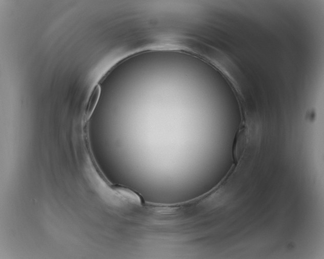 X0000112971484200909031034