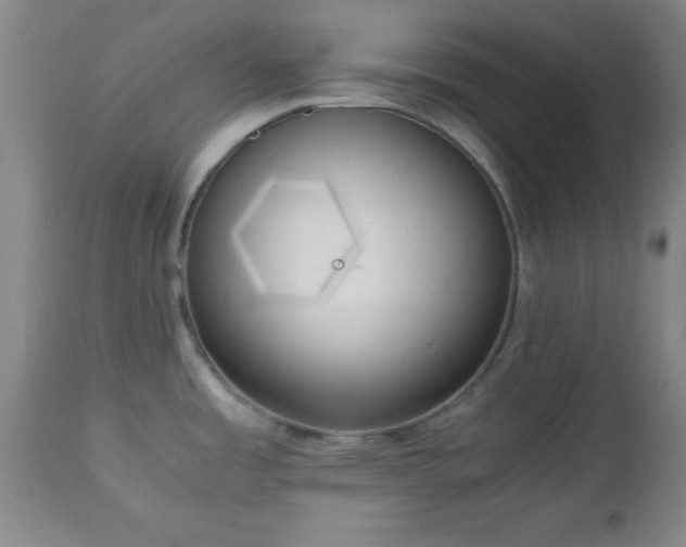 X0000112971485200909031034