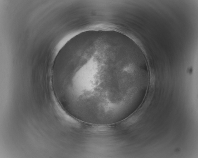 X0000112971486200909031034