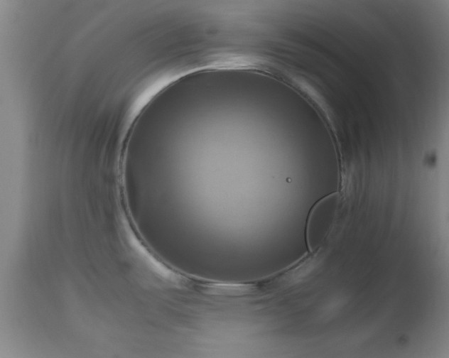 X0000112971487200909031034