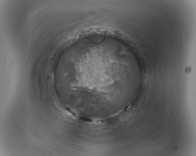 X0000112971489200909031033