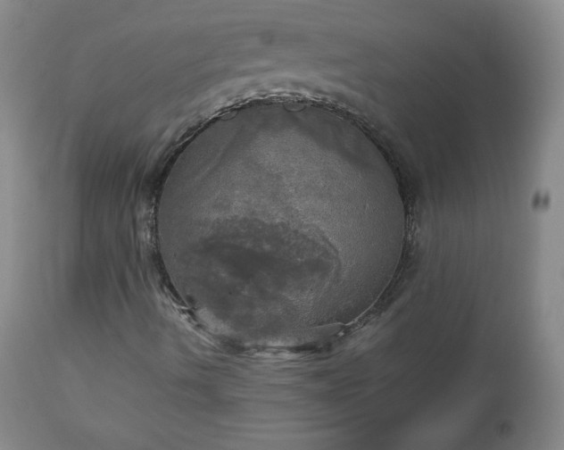 X0000112971490200909031033