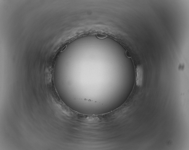 X0000112971491200909031033