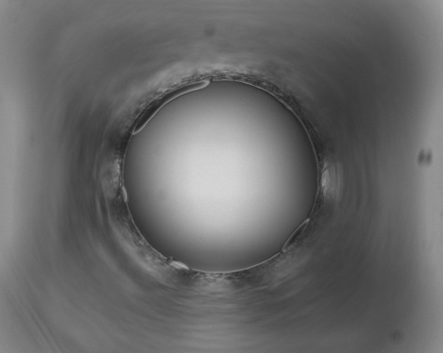 X0000112971492200909031033