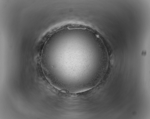 X0000112971495200909031033