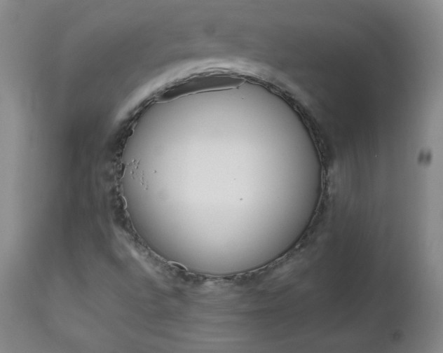 X0000112971496200909031033