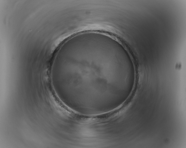 X0000112971497200909031033