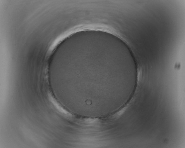 X0000112971498200909031033