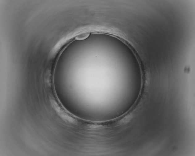 X0000112971499200909031033