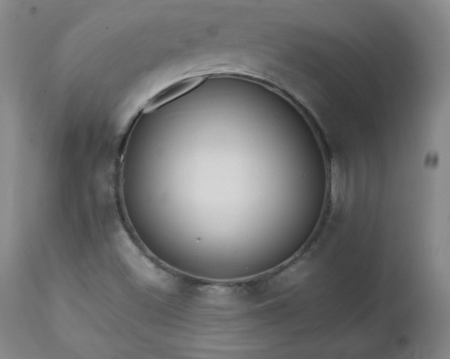 X0000112971500200909031033