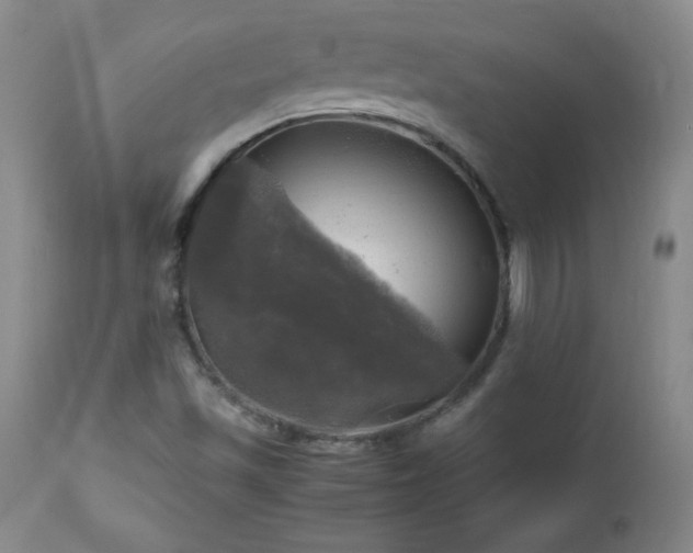 X0000112971501200909031033