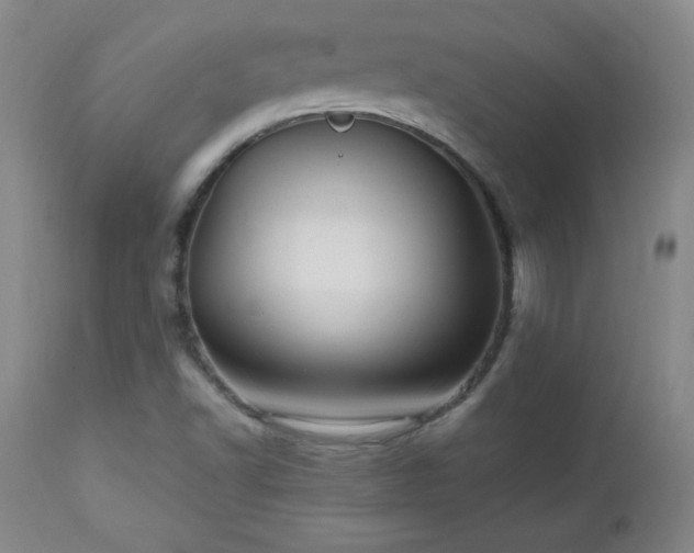 X0000112971502200909031033