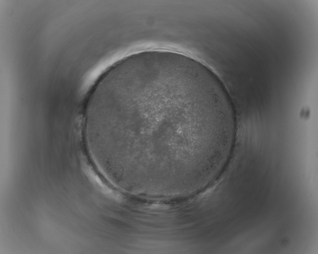 X0000112971503200909031033