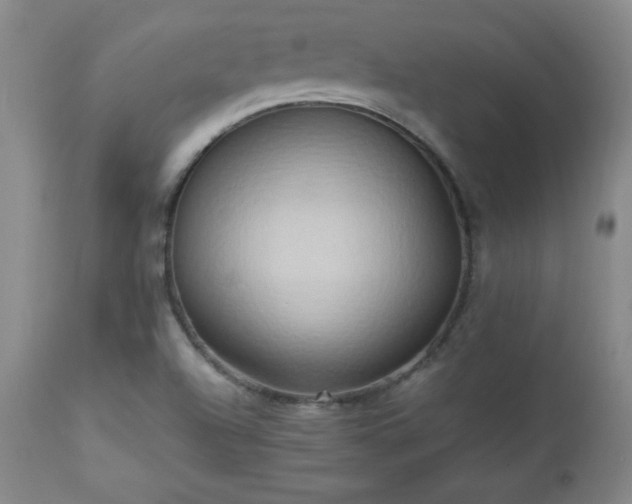 X0000112971504200909031033