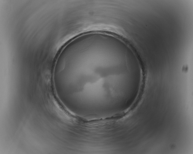 X0000112971505200909031033