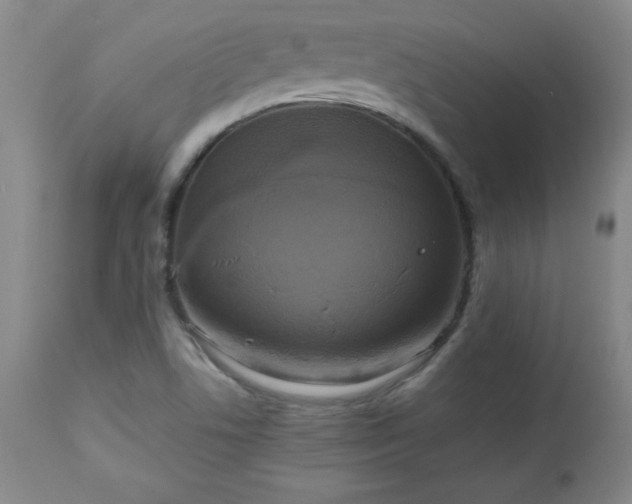 X0000112971506200909031033