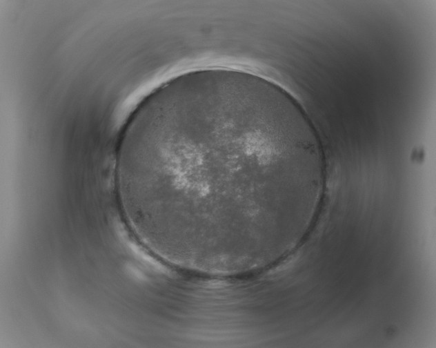 X0000112971507200909031033