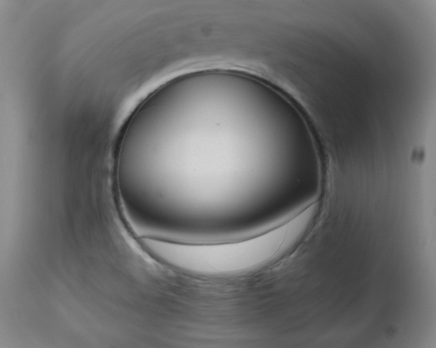 X0000112971508200909031033