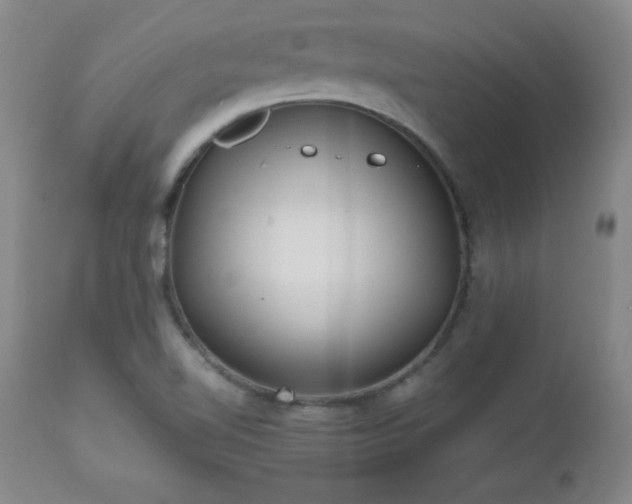 X0000112971510200909031033