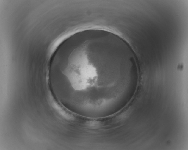 X0000112971511200909031033