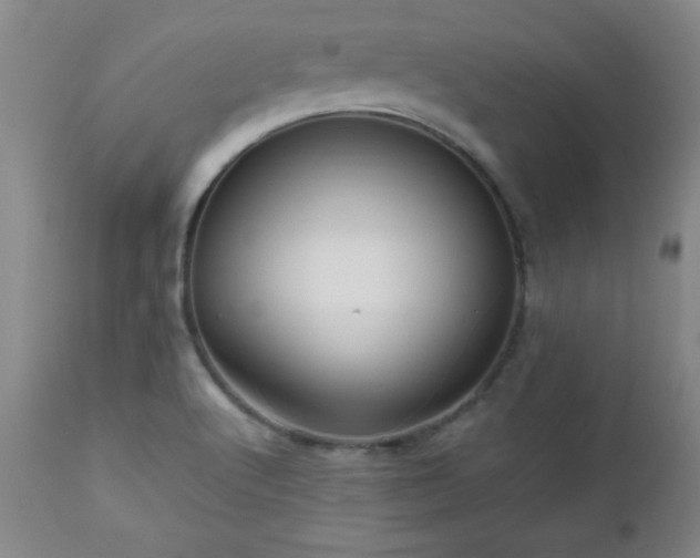 X0000112971512200909031033