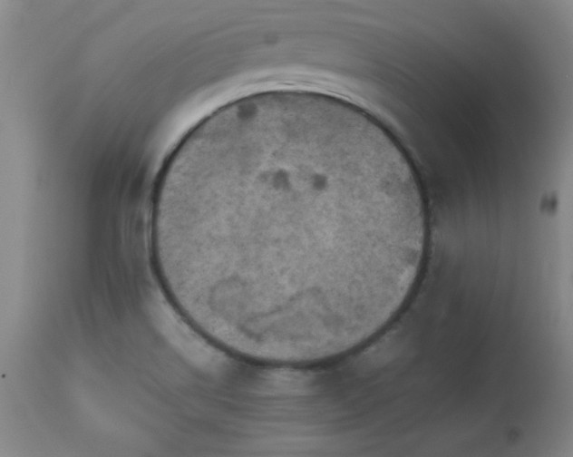 X0000112971514200909031033