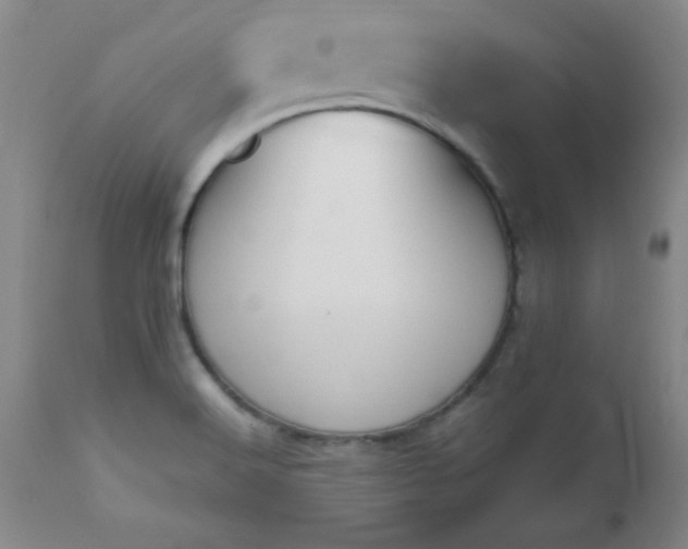 X0000112971516200909031033