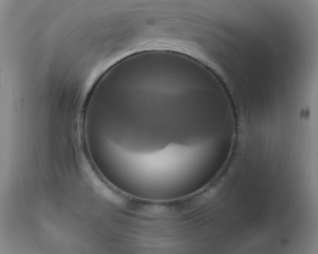 X0000112971517200909031033