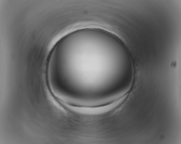 X0000112971518200909031033