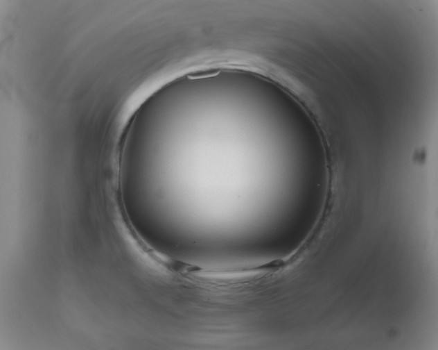 X0000112971520200909031033