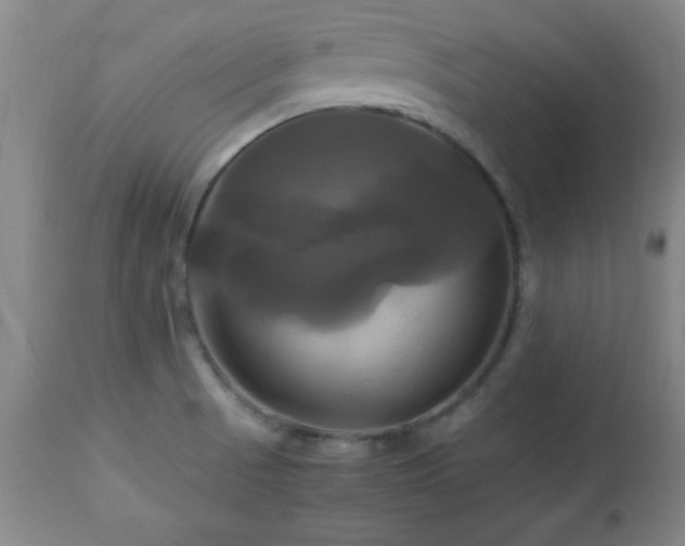 X0000112971521200909031033