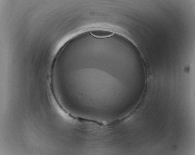 X0000112971523200909031033