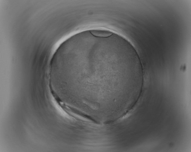 X0000112971526200909031034