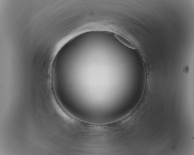 X0000112971528200909031034