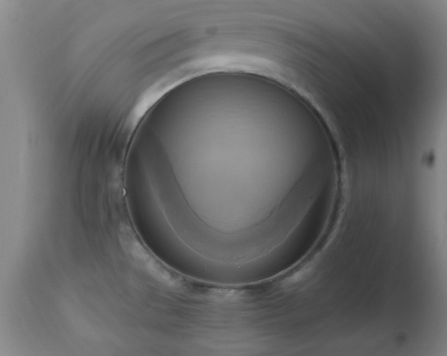 X0000112971529200909031034