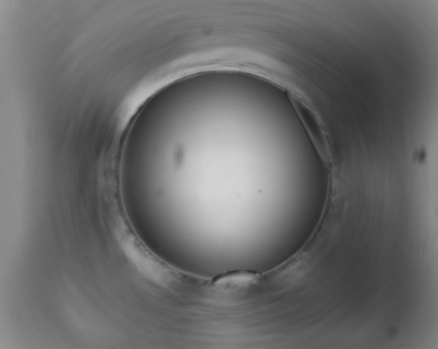 X0000112971530200909031034