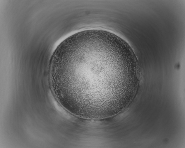 X0000112971534200909031034