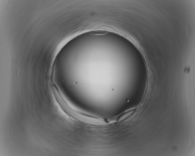 X0000112971536200909031034