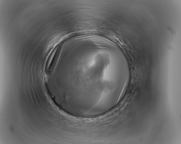 X0000112970002200909101703