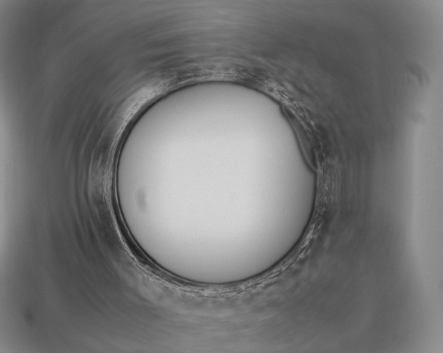 X0000112970003200909101703