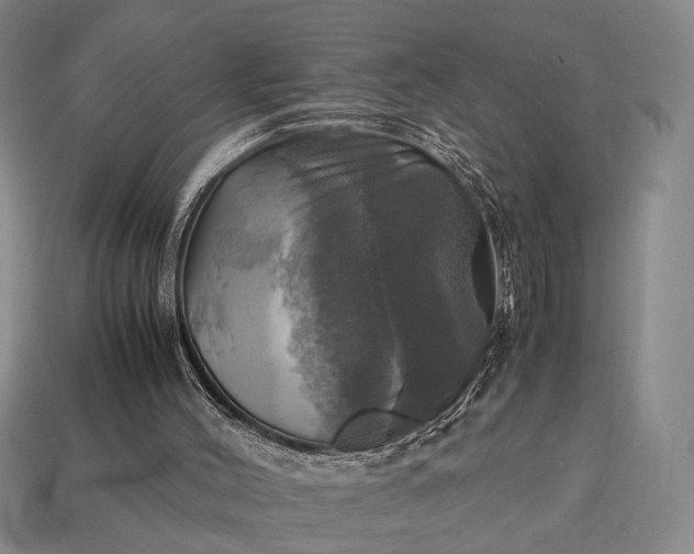 X0000112970004200909101703